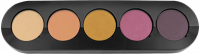 shadows in the palette T17 Barbie